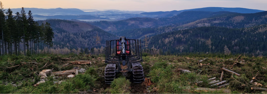 Produkcja certyfikowanej biomasy | ALFA Stochmal