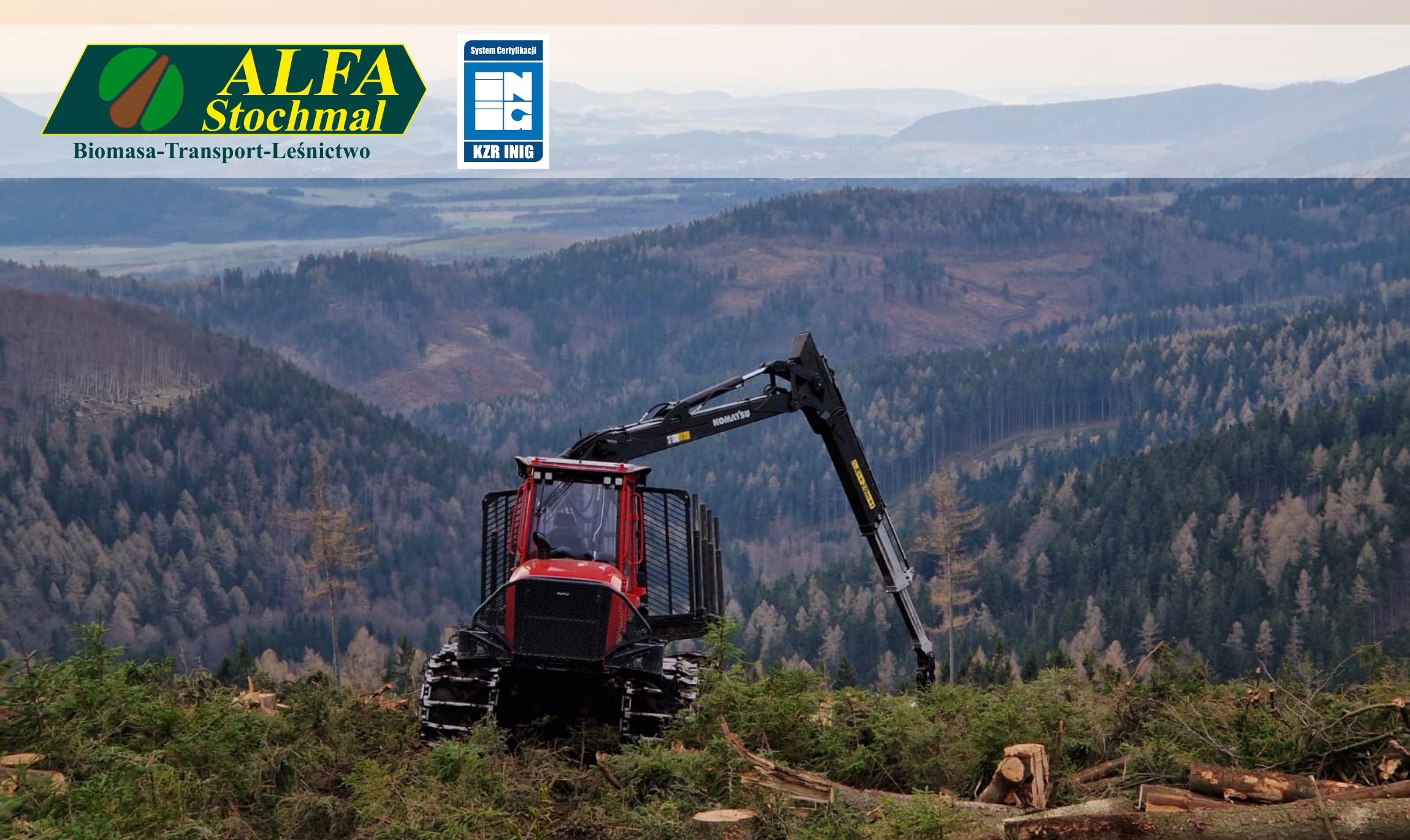 Świadczymy usługi leśne | ALFA Stochmal