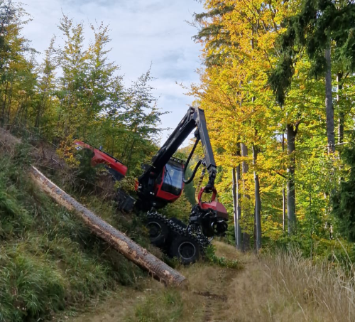 Usługi leśne | ALFA Stochmal