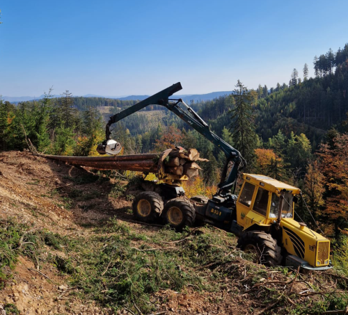 Remonty dróg leśnych | ALFA Stochmal