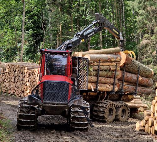 Wycinka drzew | ALFA Stochmal